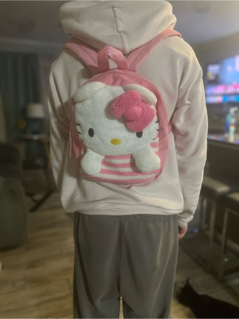 Pink Hello Kitty Plush Backpack Top - Soft Hoodie
